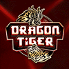 dragon_tiger.gif